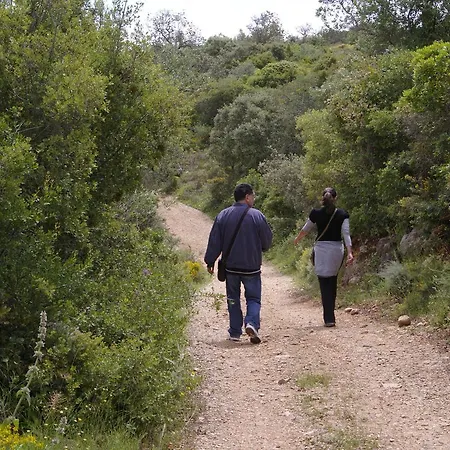 Moiras Encantadas Kro Paderne (Faro)